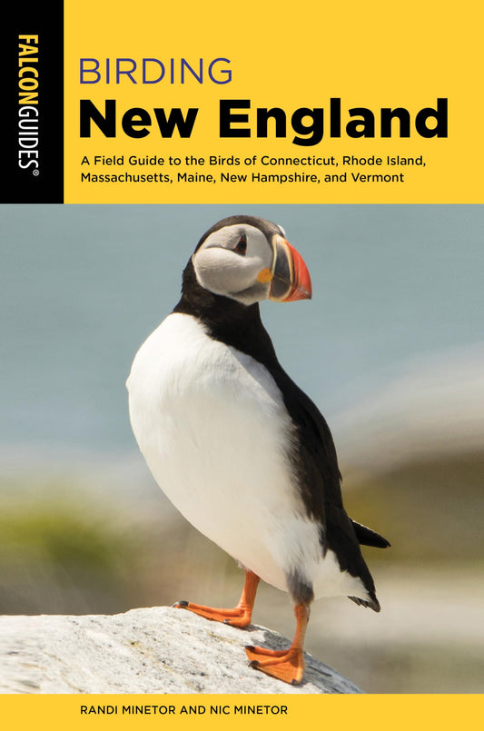 Birding New England: A Field Guide to the Birds of Connecticut, Rhode Island, Massachusetts, Maine, New Hampshire, and Vermont book cover