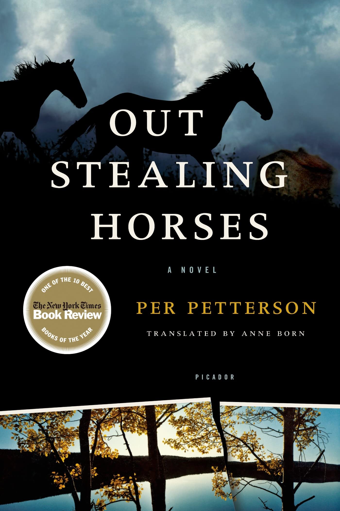 Out Stealing Horses book cover