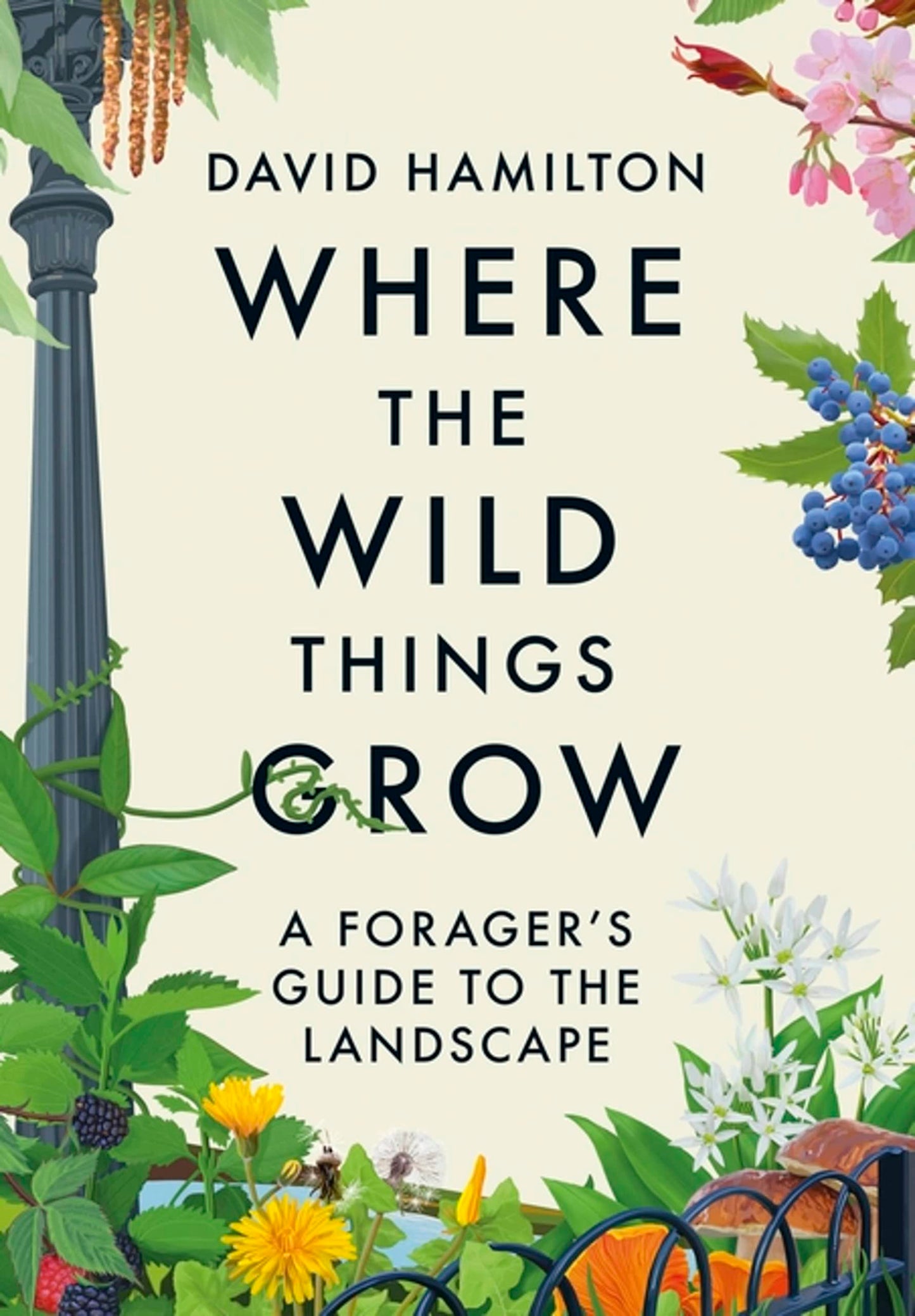 Where the Wild Things Grow: A Forager's Guide to the Landscape