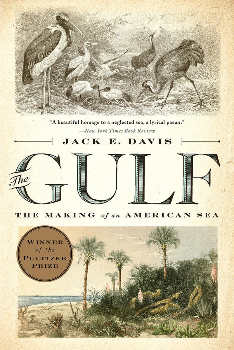 Gulf: The Making of an American Sea book cover