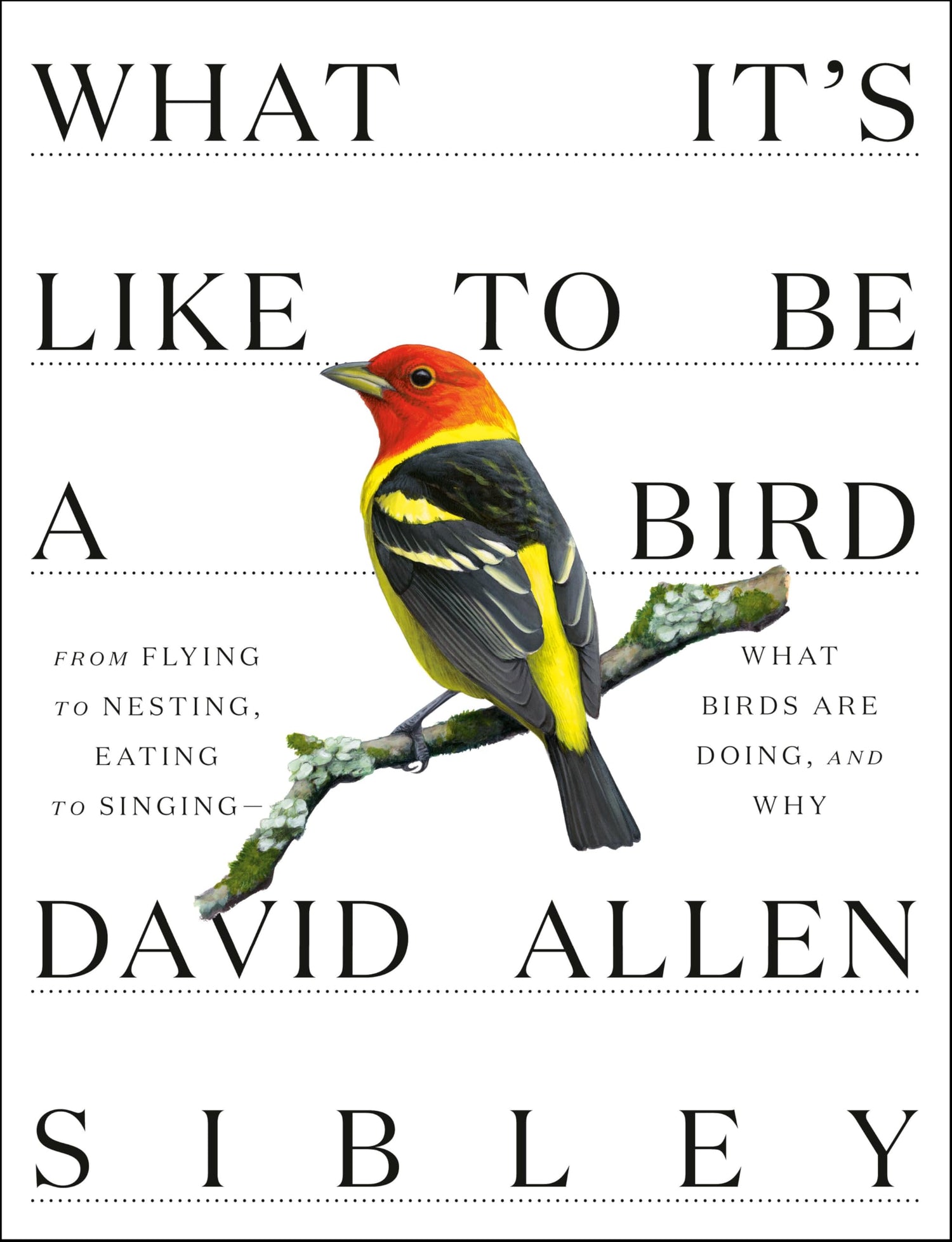 What It's Like to Be a Bird: From Flying to Nesting, Eating to Singing--What Birds Are Doing, and Why book cover