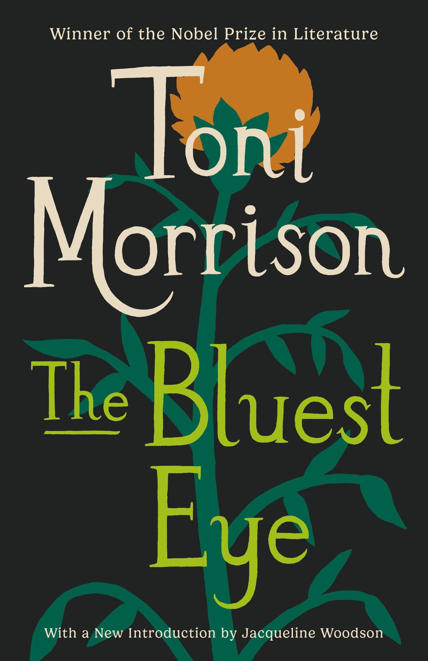 The Bluest Eye book cover
