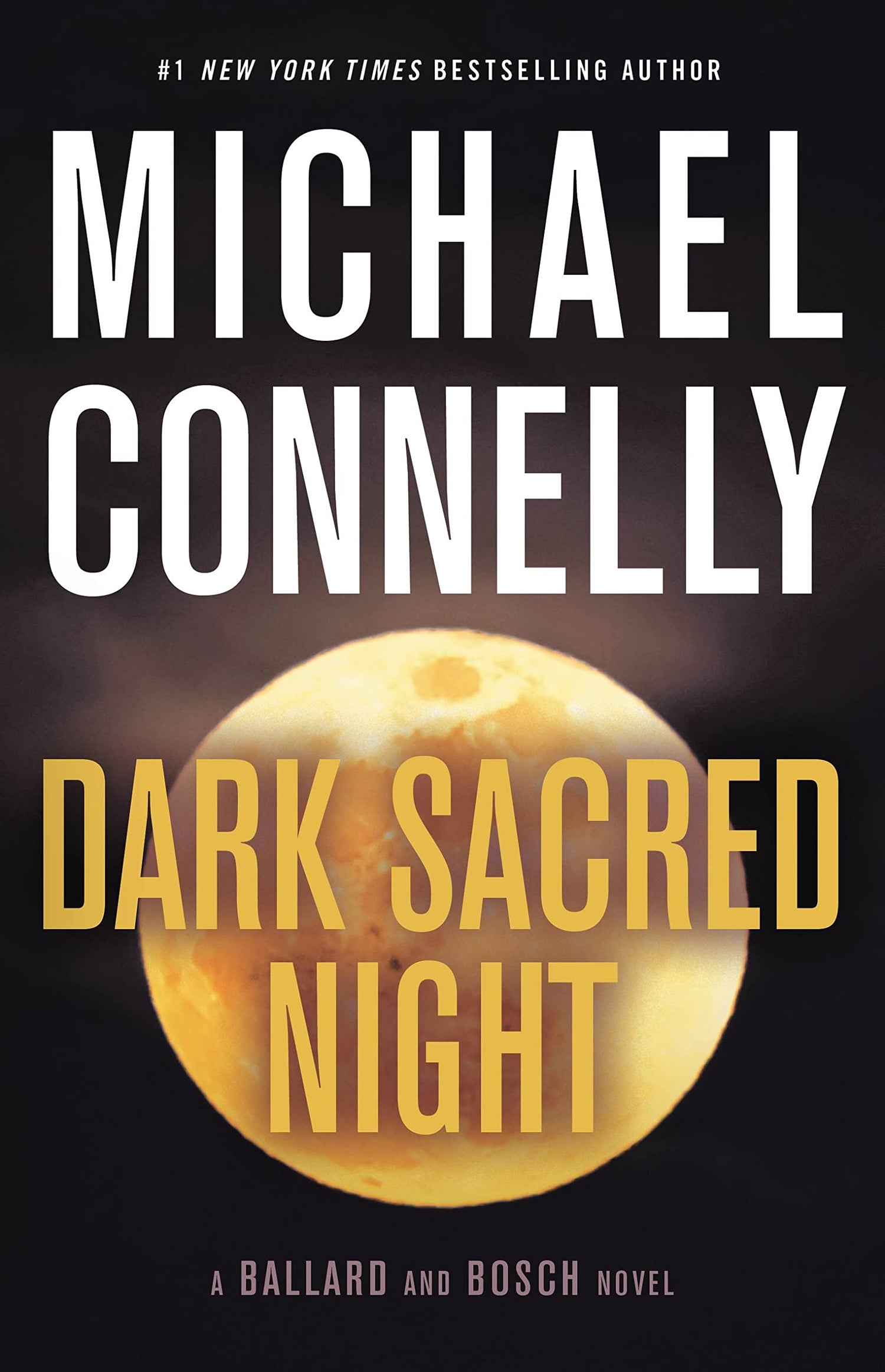 Dark Sacred Night book cover