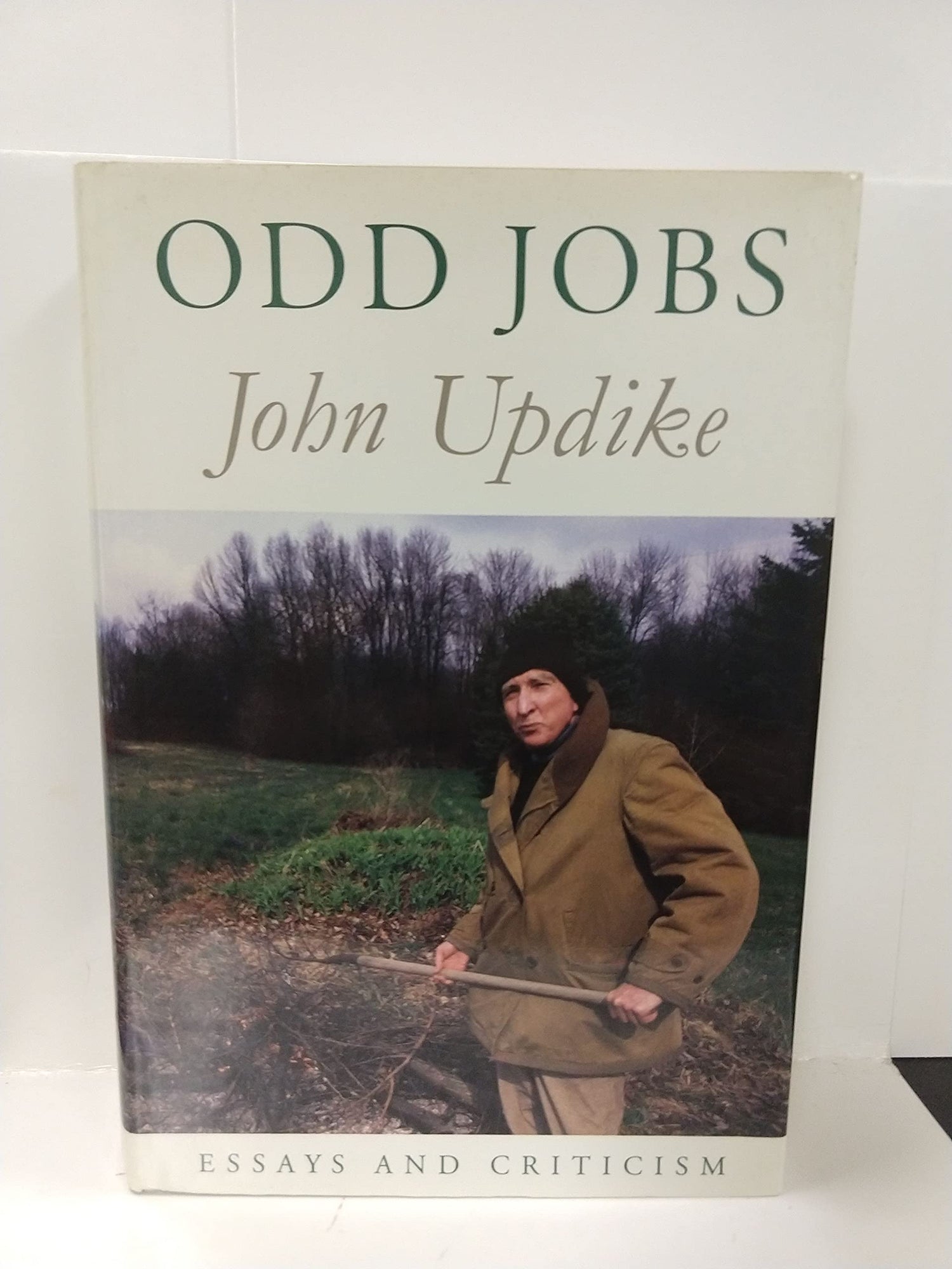 Odd Jobs: Essays and Criticism book cover