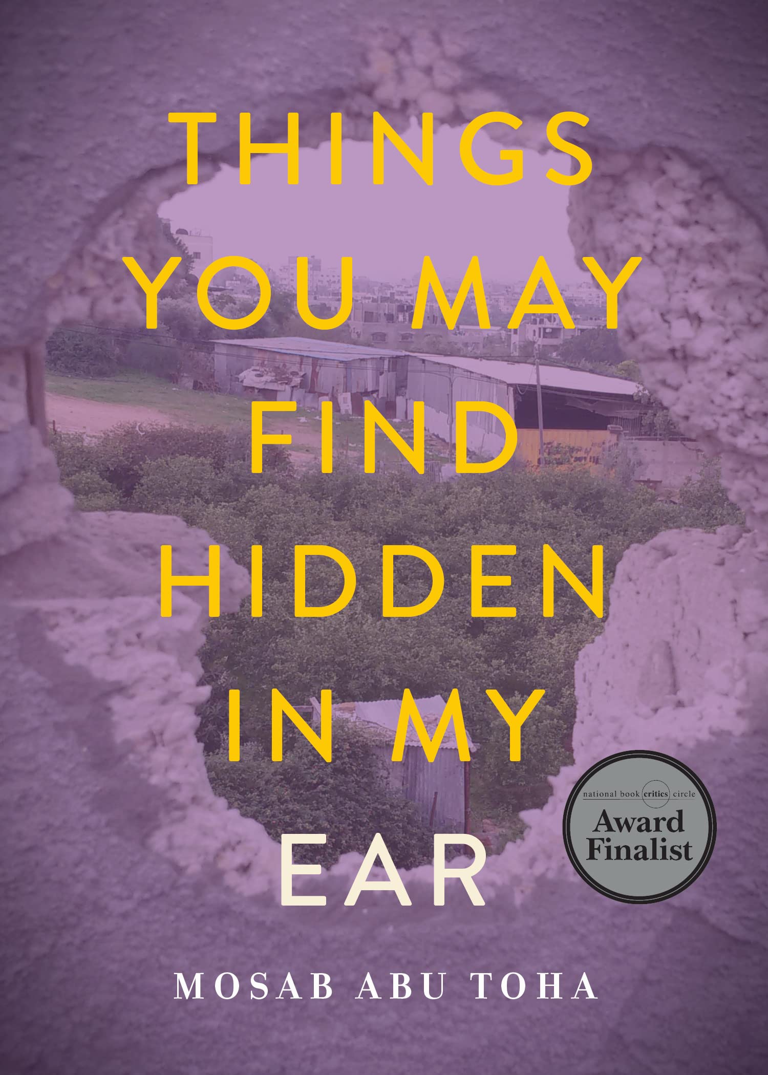 Things You May Find Hidden in My Ear: Poems from Gaza book cover