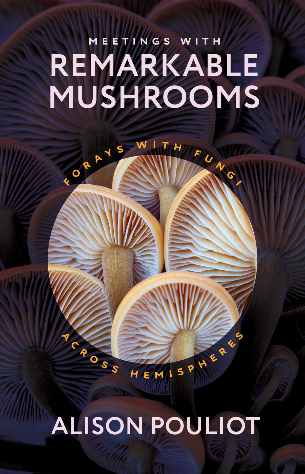 Meetings with Remarkable Mushrooms: Forays with Fungi Across Hemispheres book cover