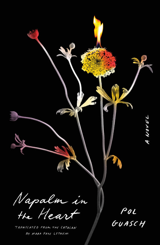 Napalm in the Heart book cover