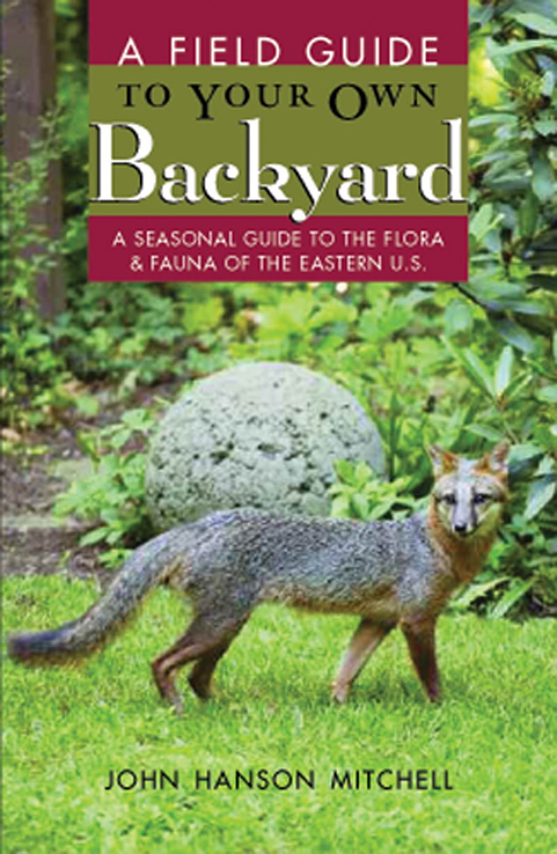 Field Guide to Your Own Back Yard: A Seasonal Guide to the Flora & Fauna of the Eastern U.S.