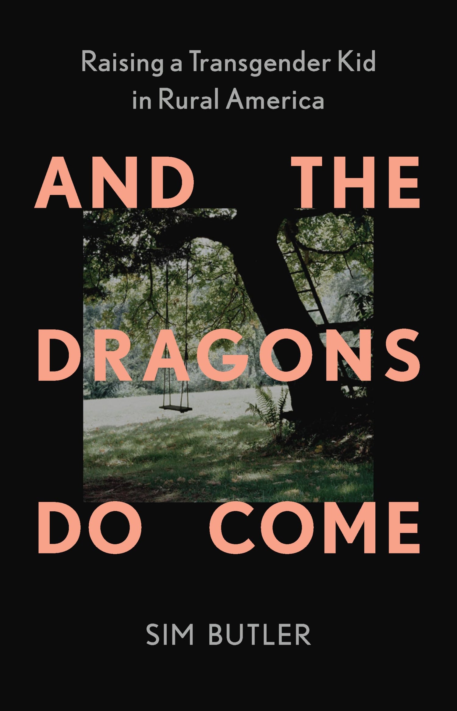 And the Dragons Do Come book cover