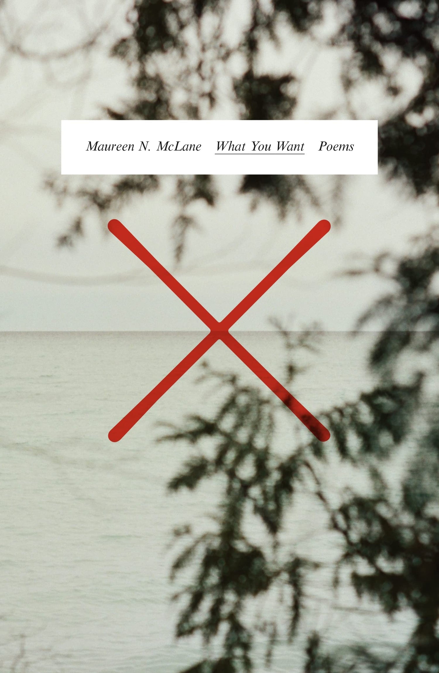 What You Want: Poems book cover