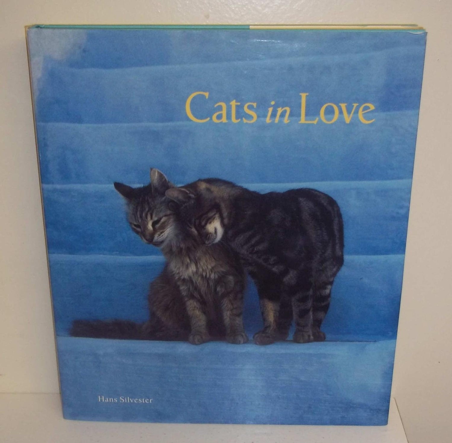 Cats in Love book cover