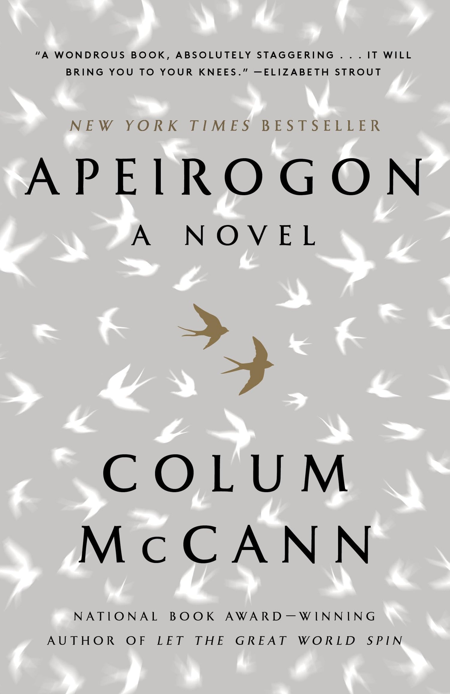 Apeirogon: A Novel book cover