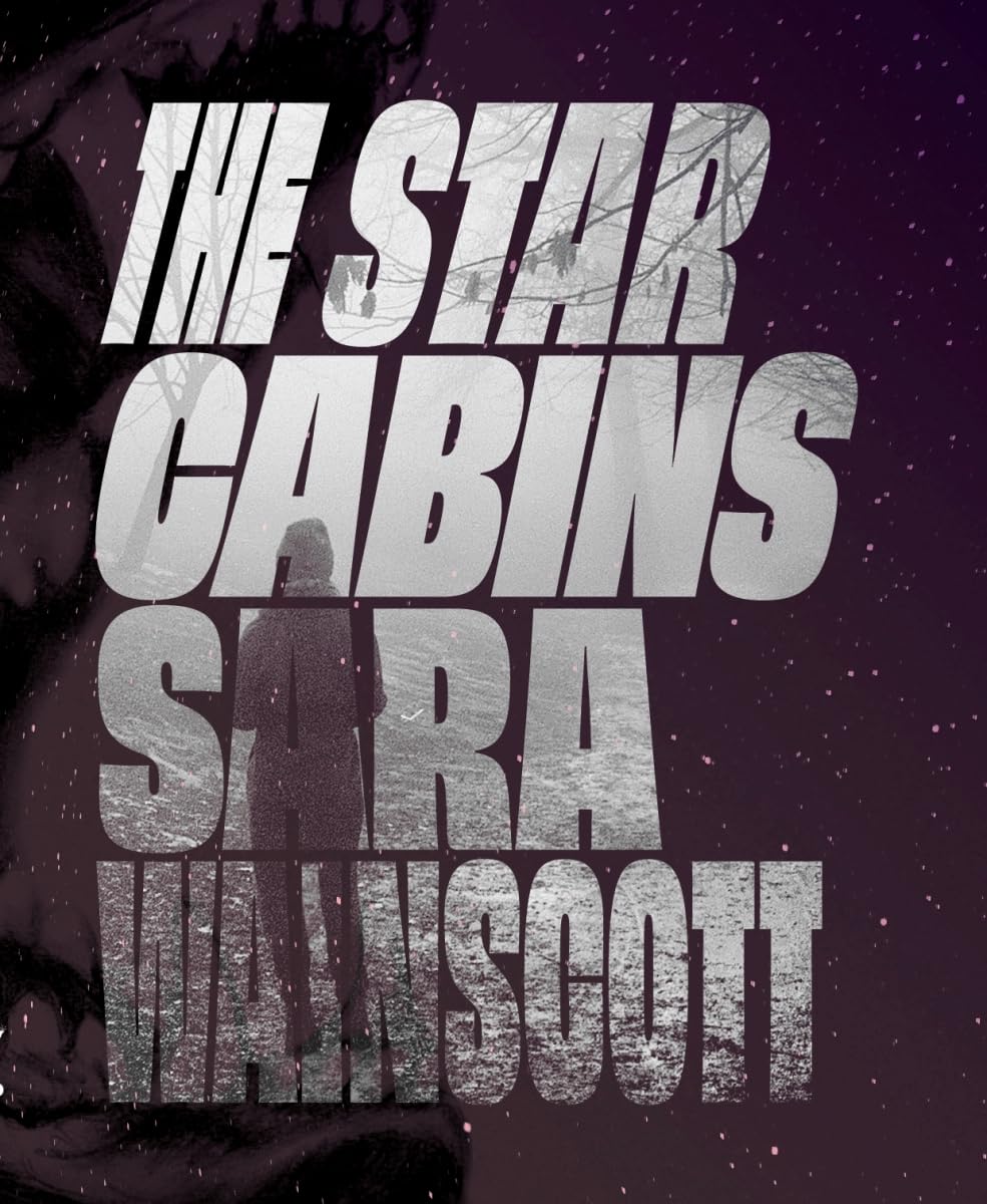 The Star Cabins book cover