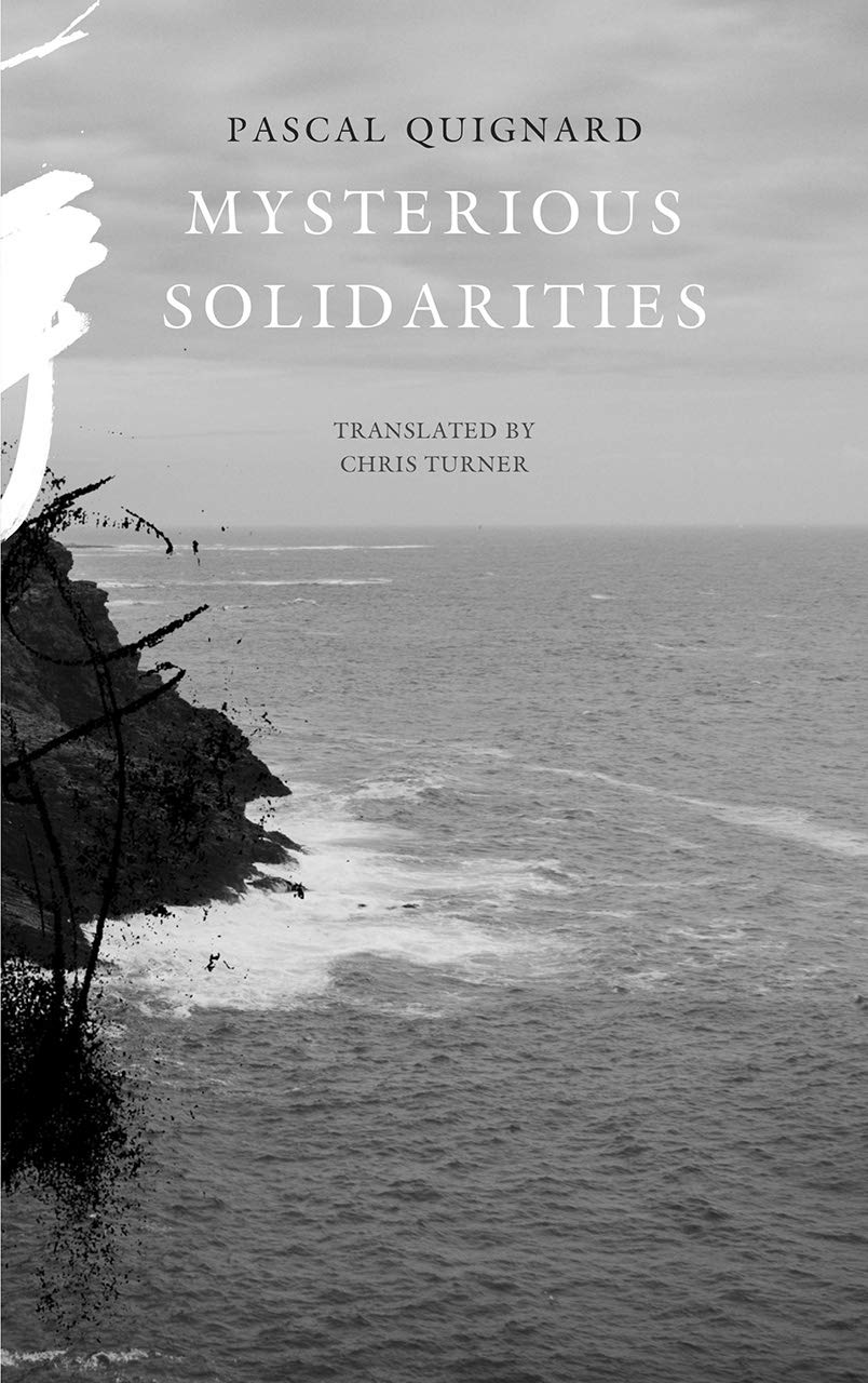 Mysterious Solidarities book cover