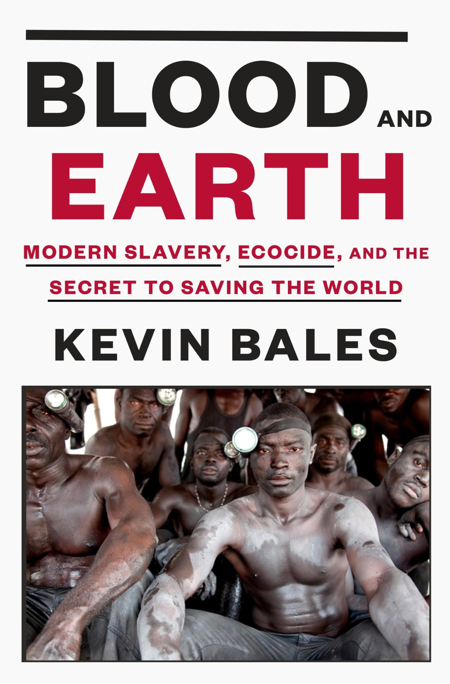 Blood and Earth: Modern Slavery, Ecocide, and the Secret to Saving the World book cover