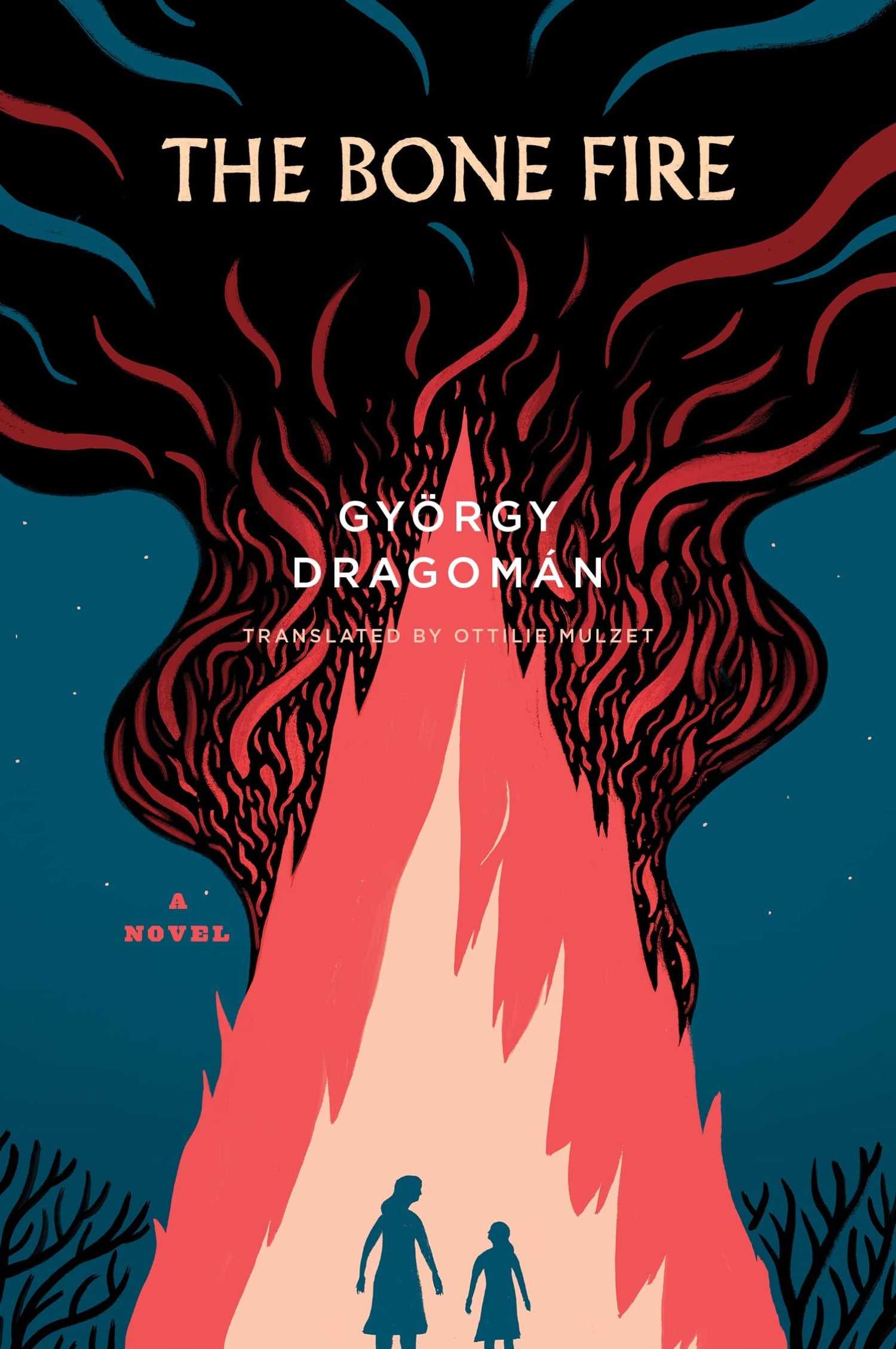 Bone Fire book cover