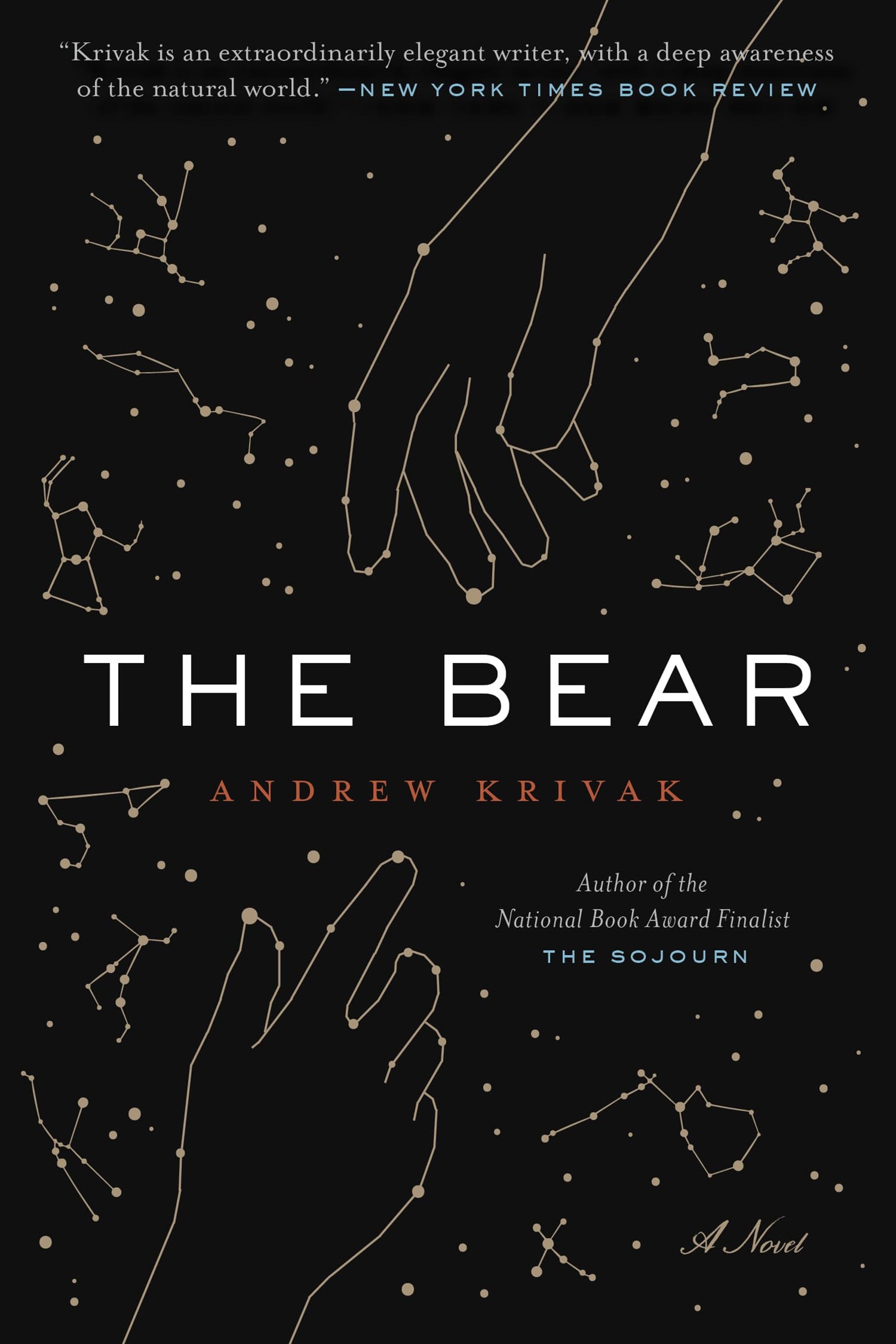 Bear book cover