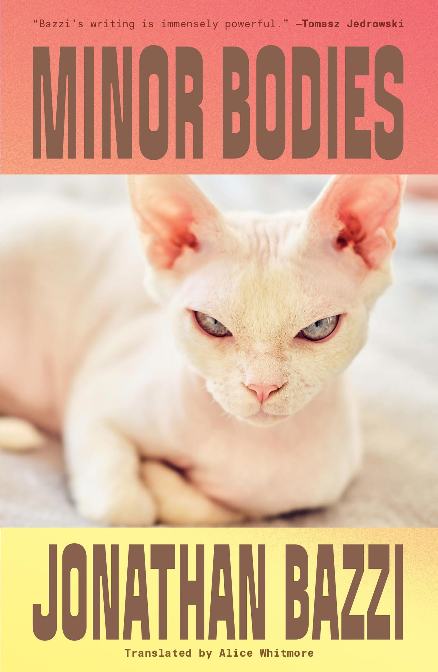 Minor Bodies book cover