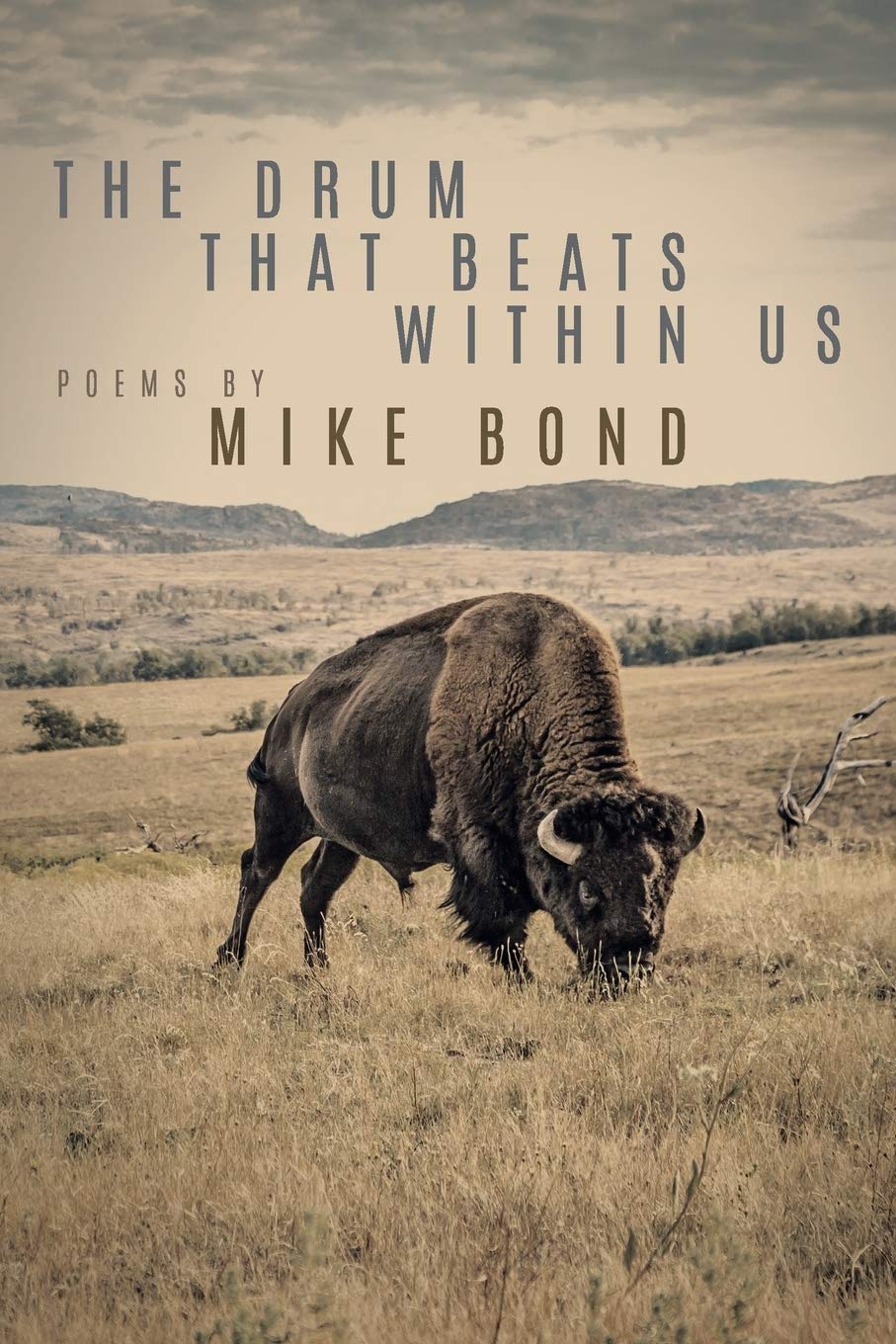 Drum That Beats Within Us book cover