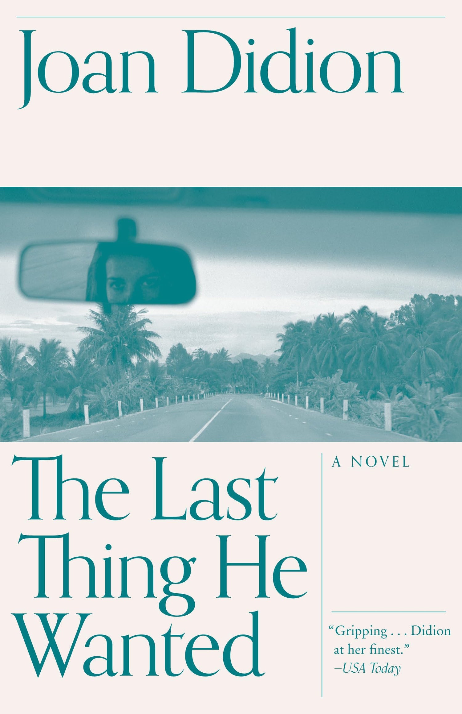 The Last Thing He Wanted book cover