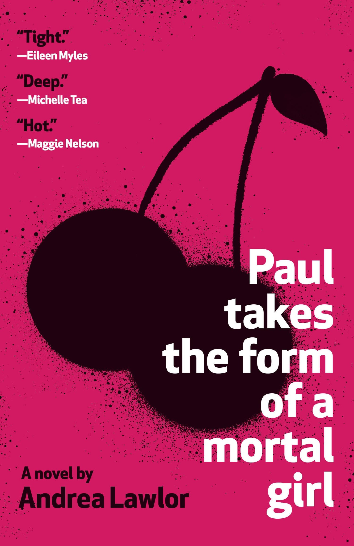 Paul Takes the Form of a Mortal Girl book cover