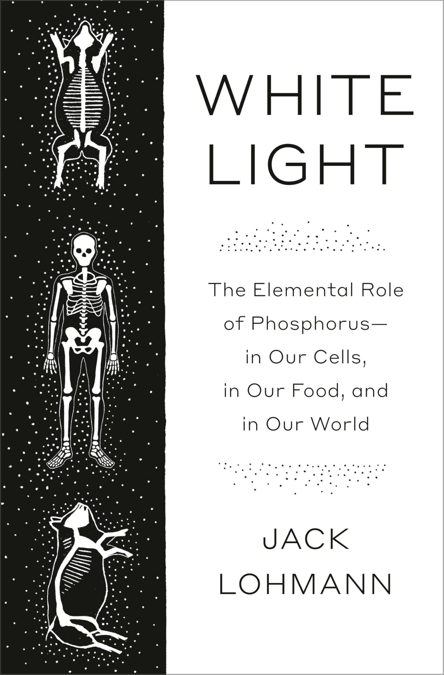 White Light book cover