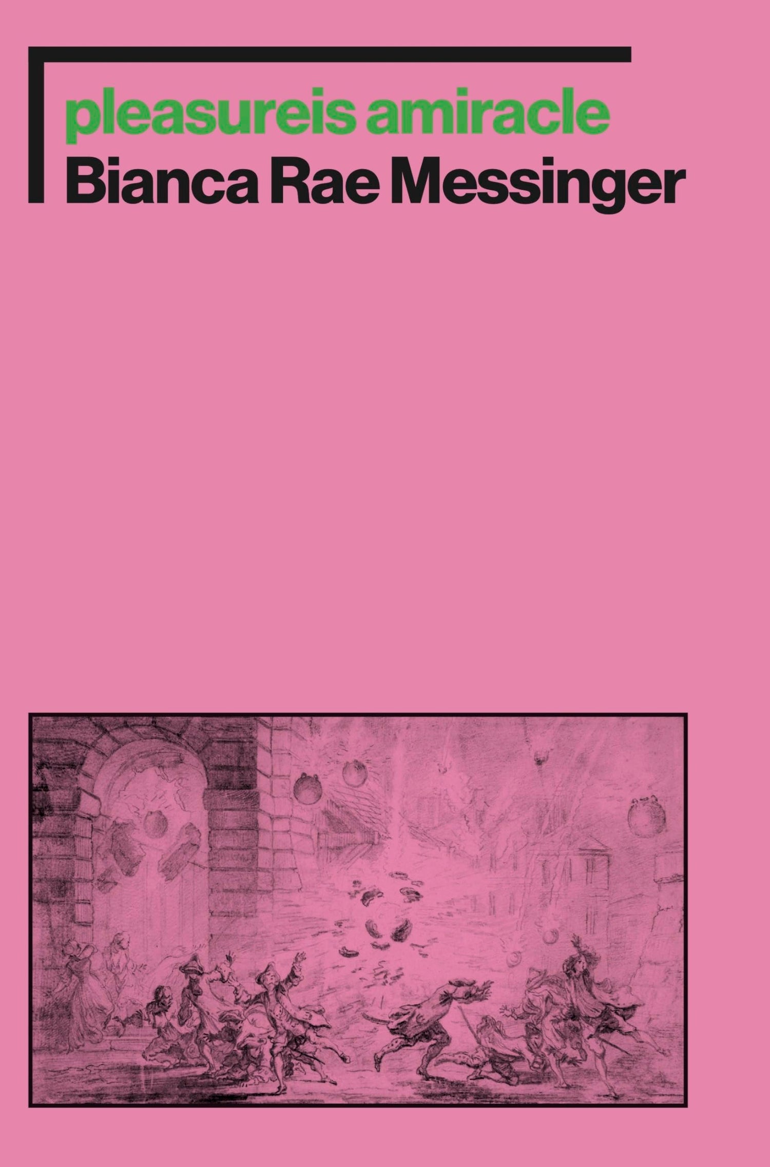 pleasureis amiracle book cover