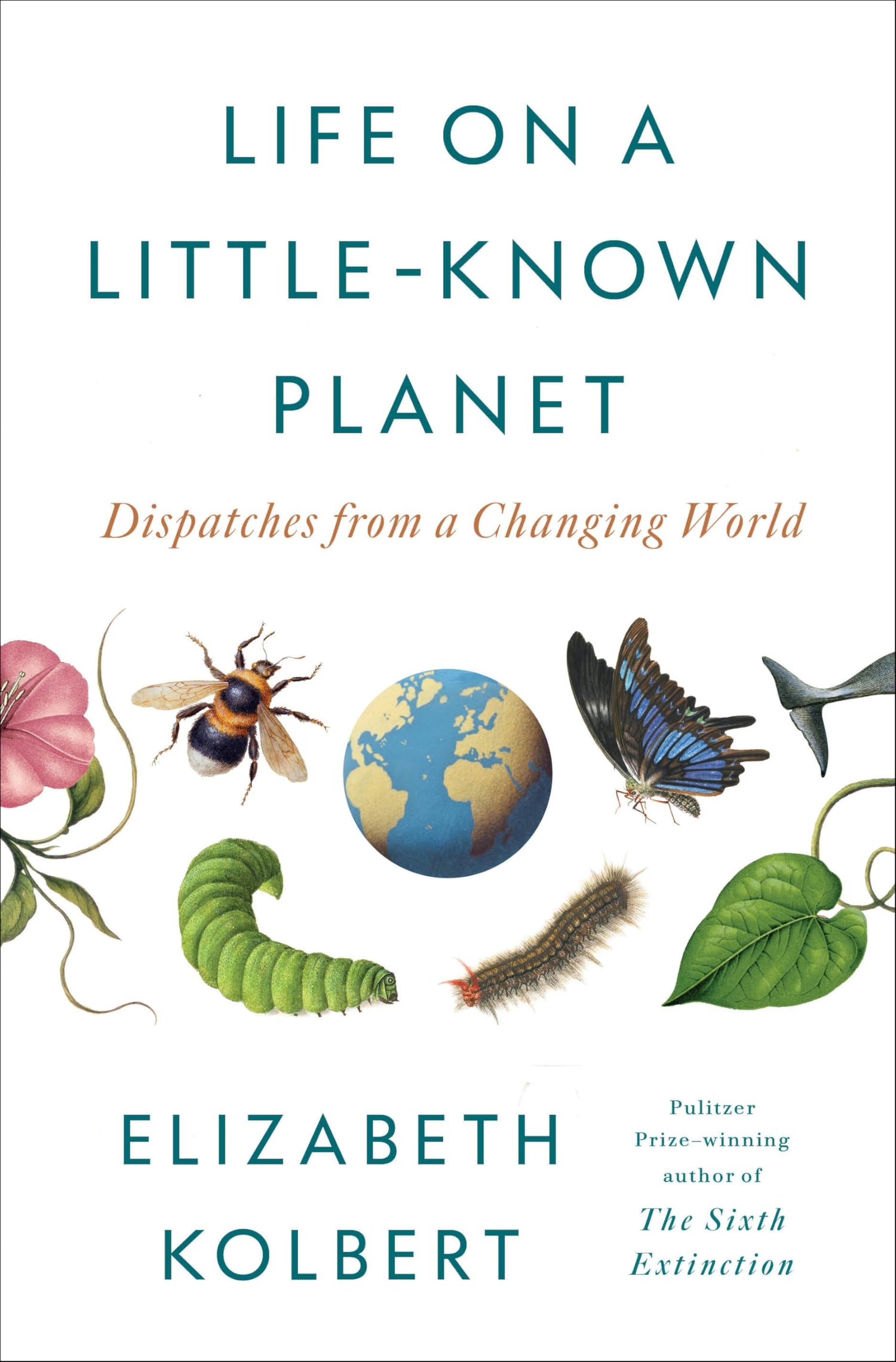Life on a Little-Known Planet book cover