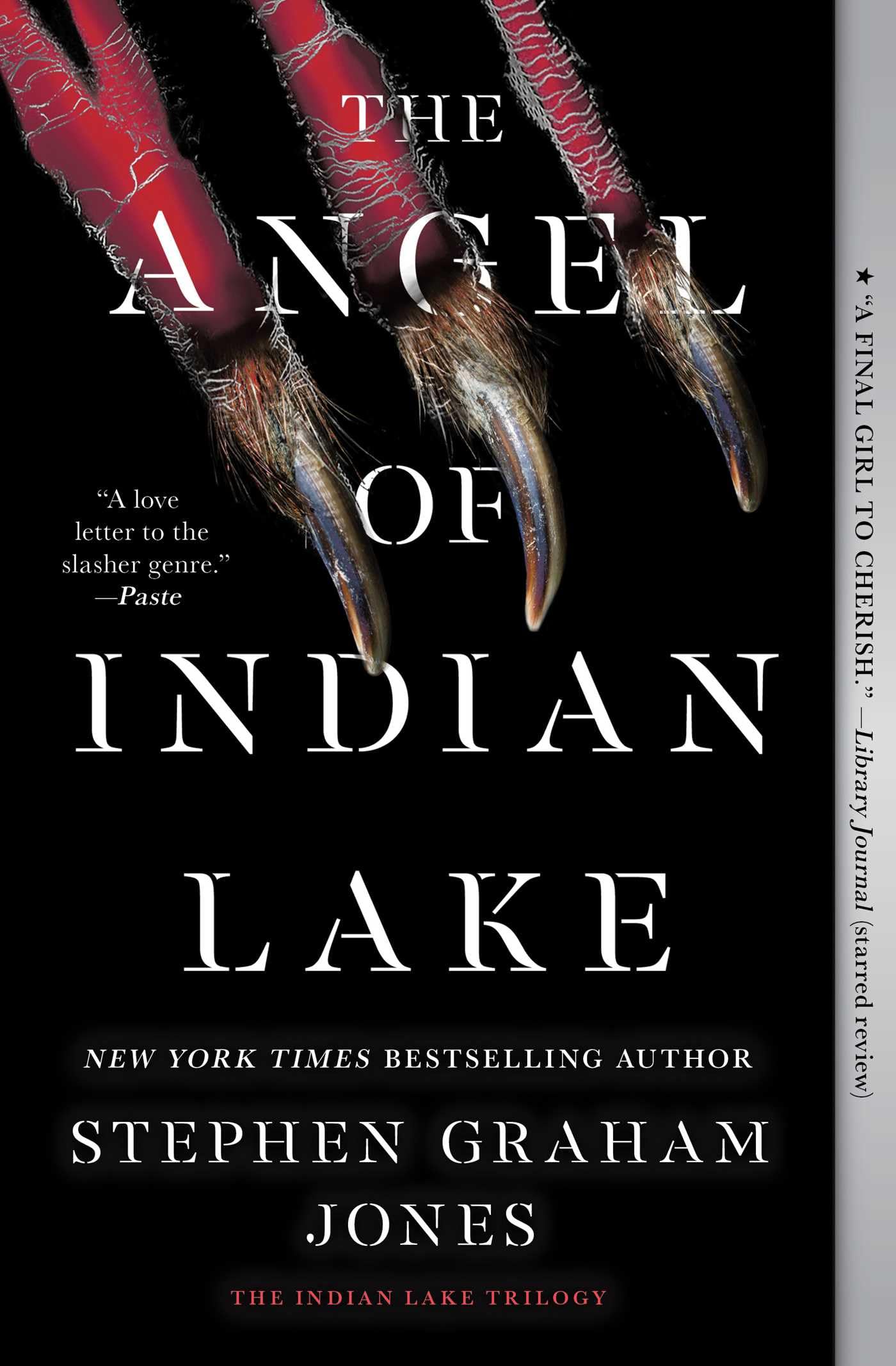 The Angel of Indian Lake book cover