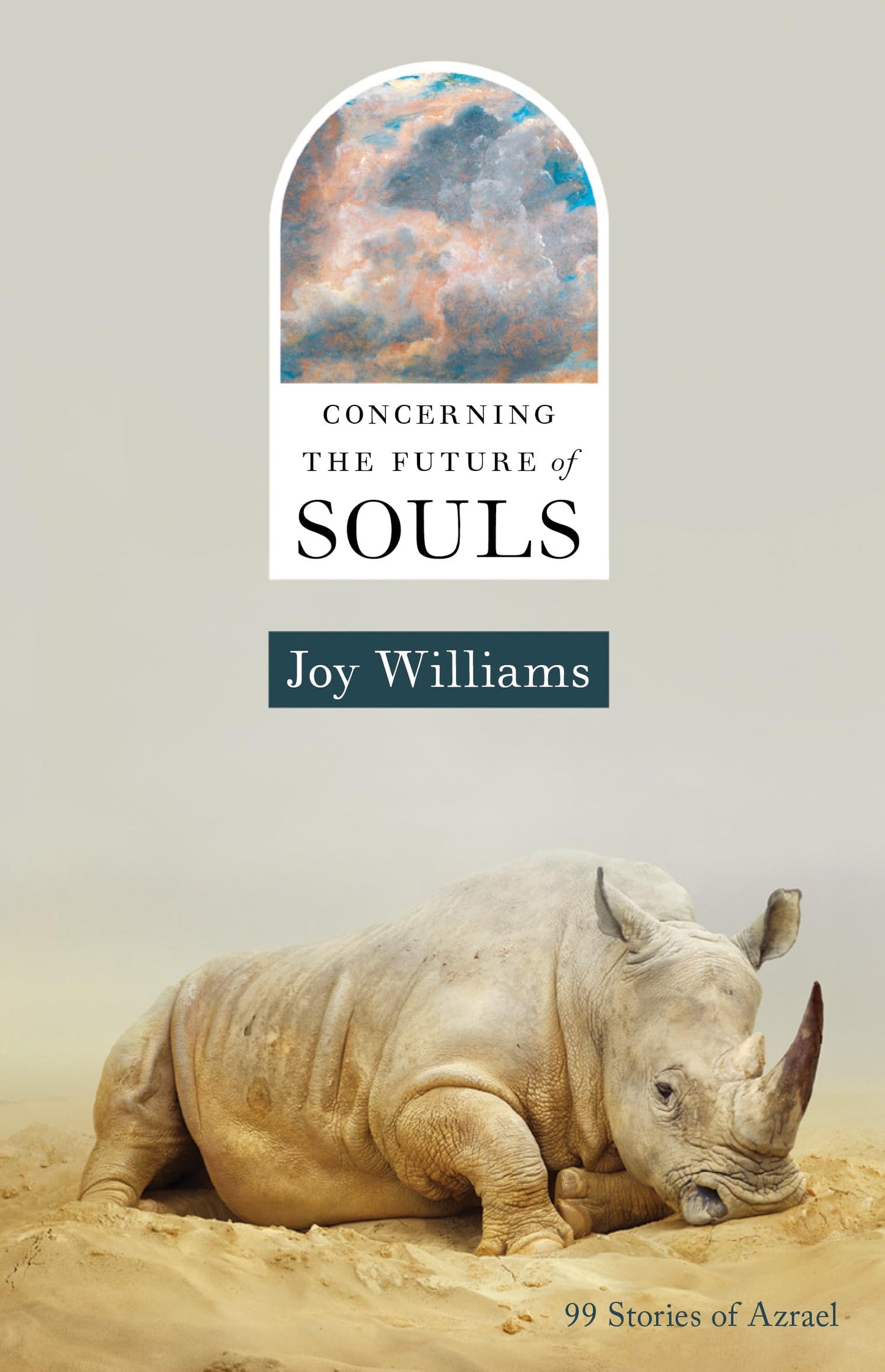 Concerning the Future of Souls book cover