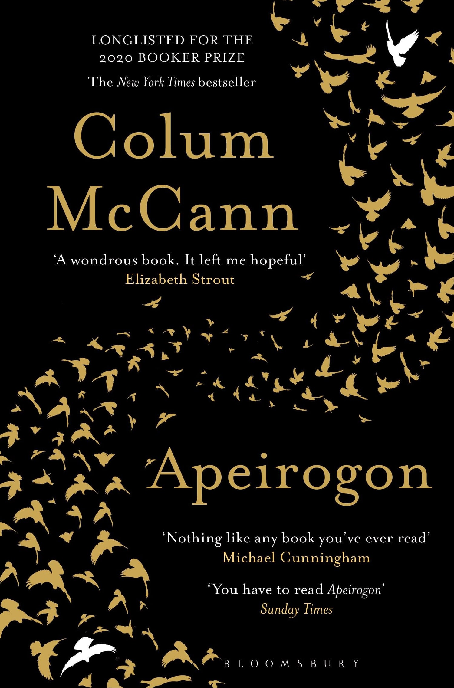 Apeirogon book cover