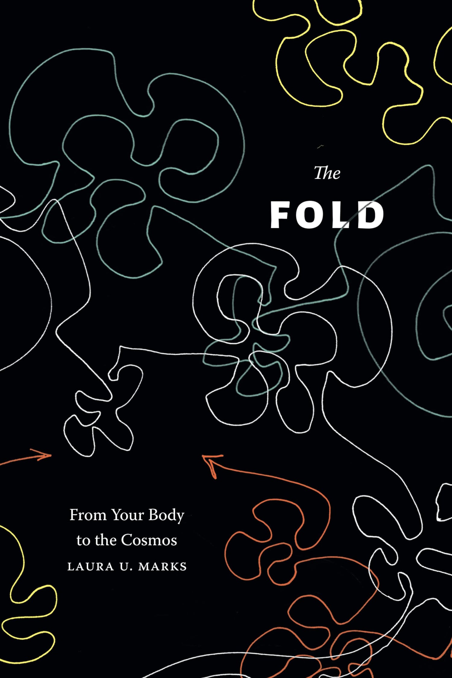Fold: From Your Body to the Cosmos book cover