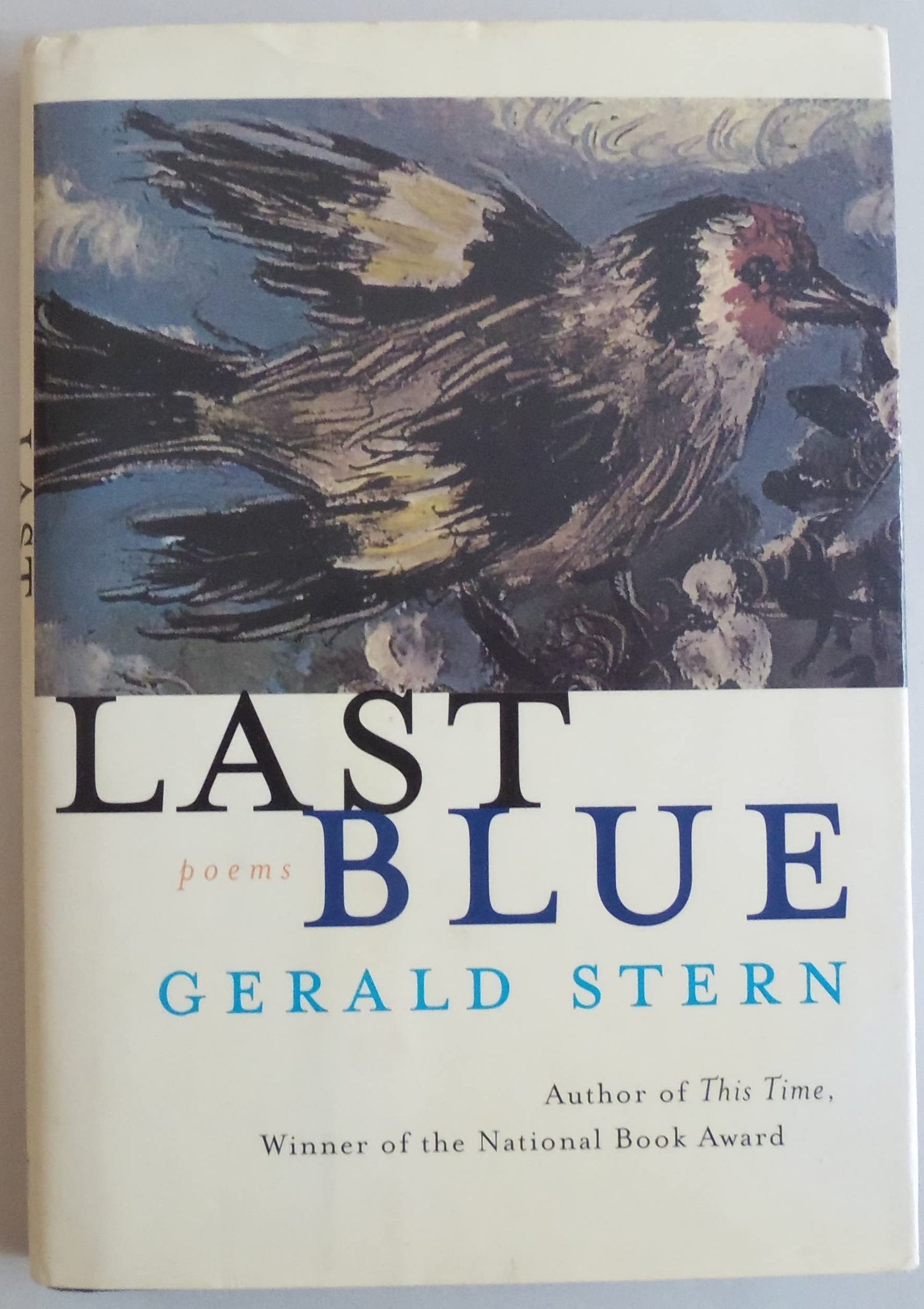Last Blue book cover