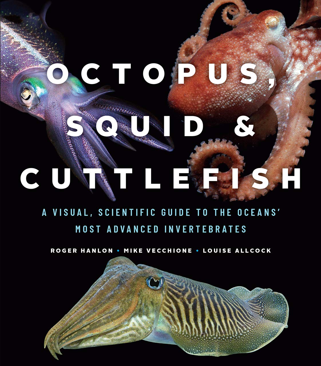 Octopus, Squid, and Cuttlefish: A Visual, Scientific Guide to the Oceans' Most Advanced Invertebrates book cover