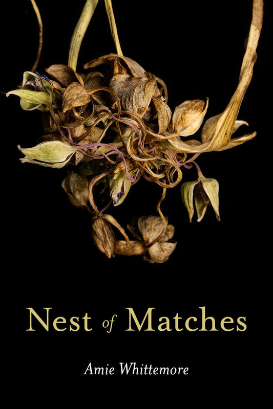 Nest of Matches book cover
