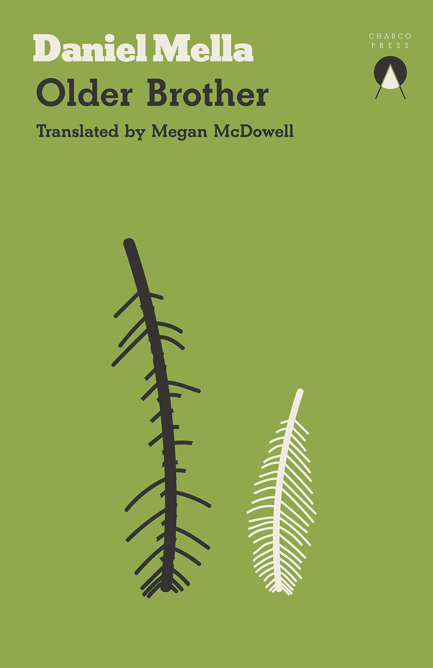 Older Brother book cover