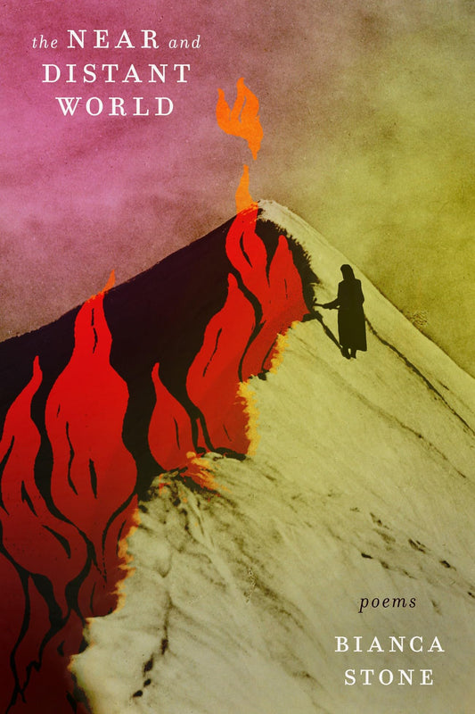 The Near and Distant World book cover