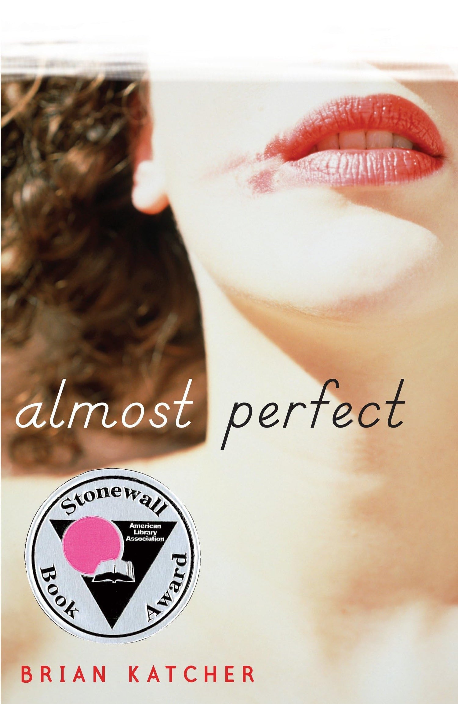 Almost Perfect book cover