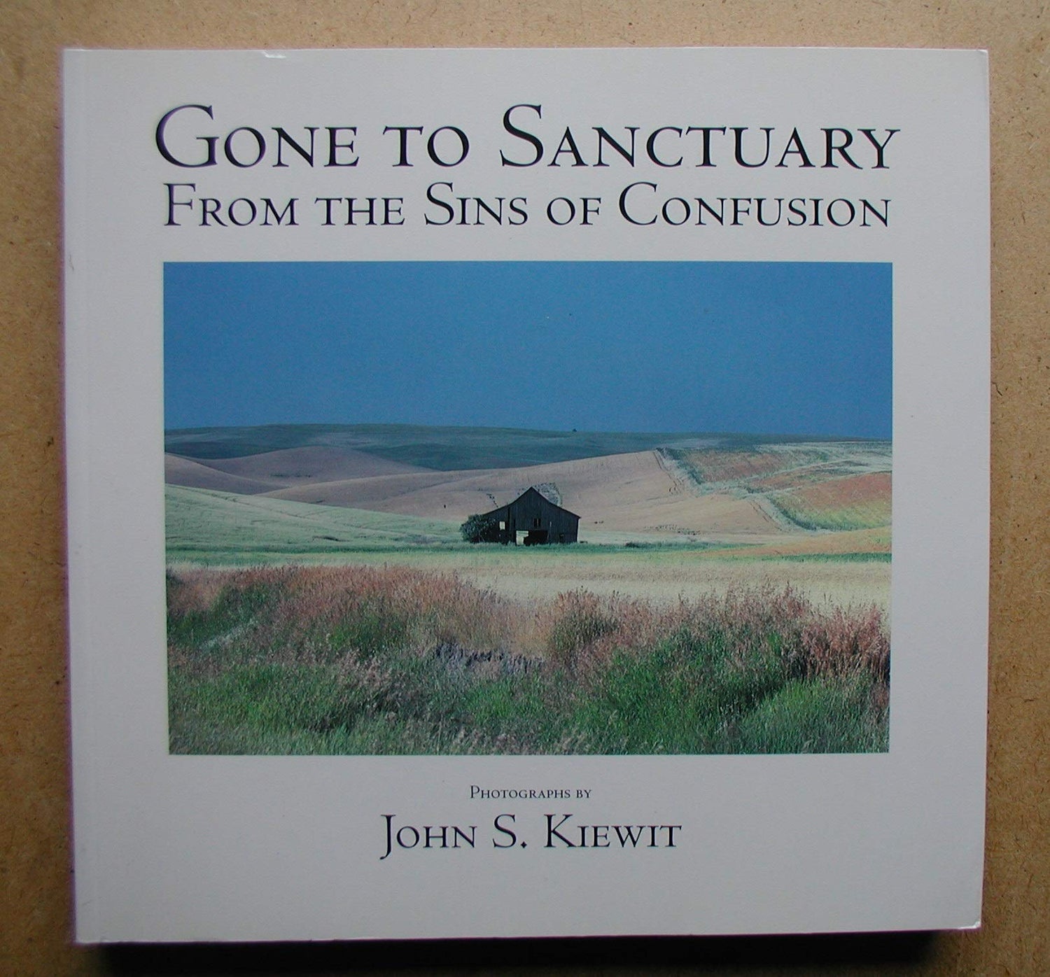 Gone to Sanctuary book cover