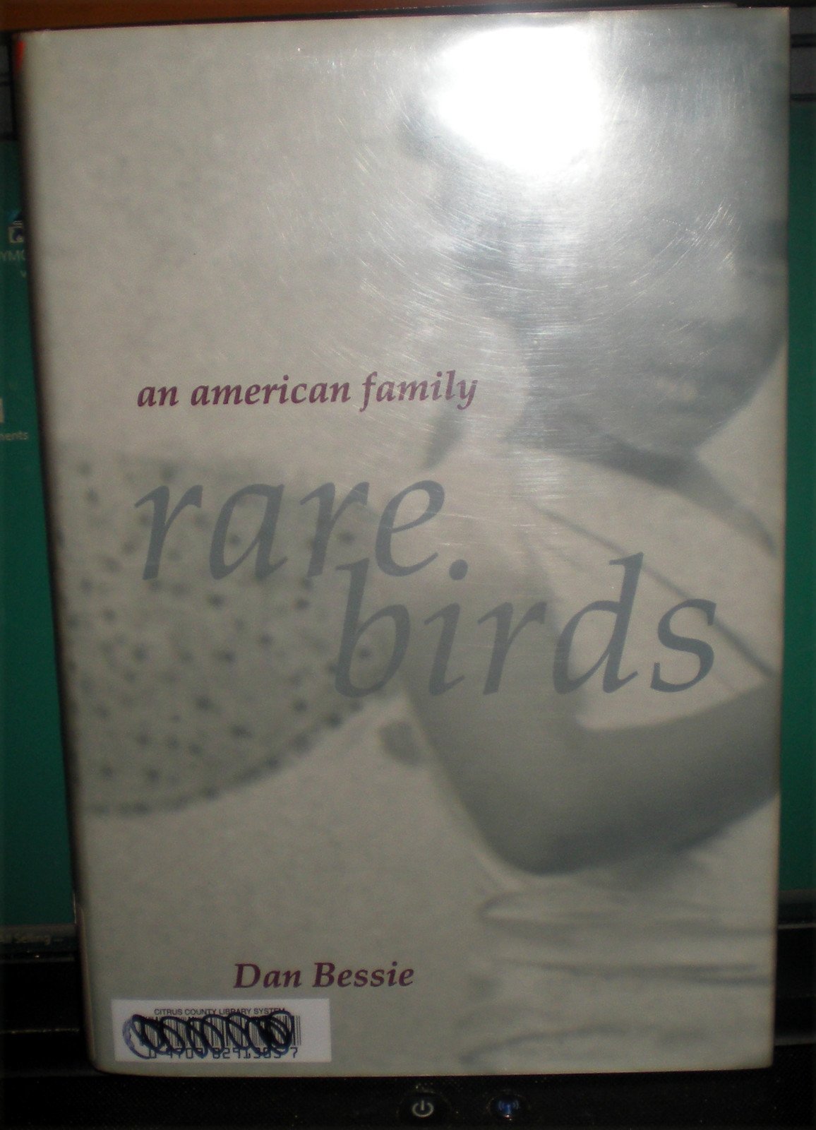 Rare Birds book cover