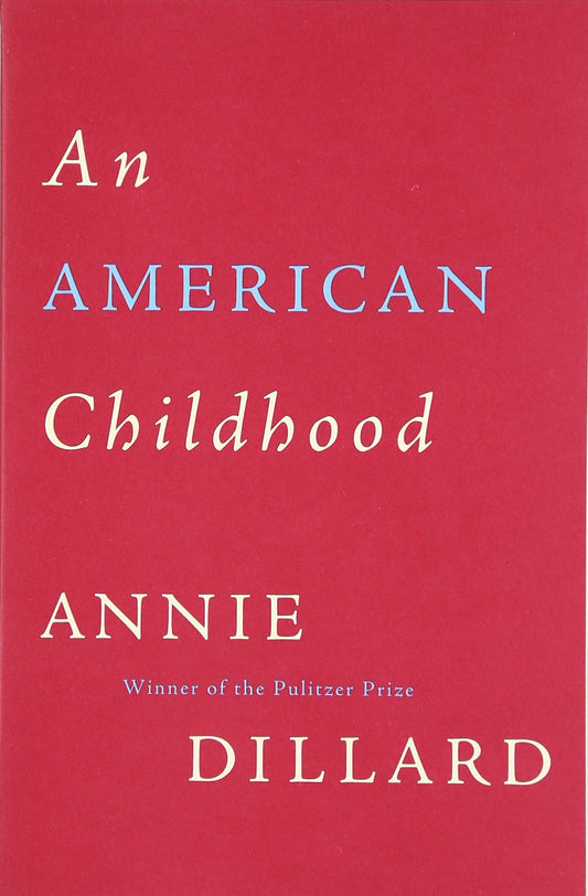 American Childhood