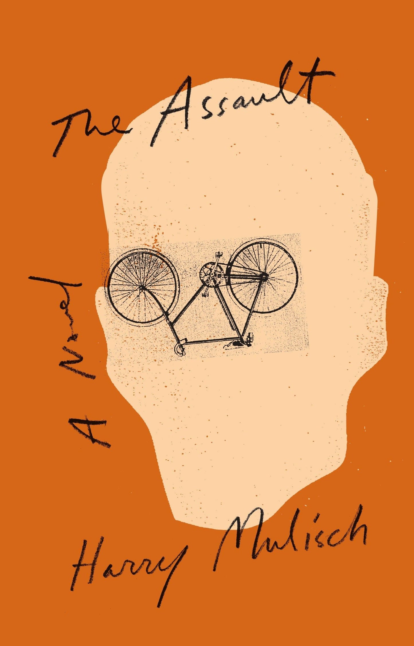 The Assault book cover