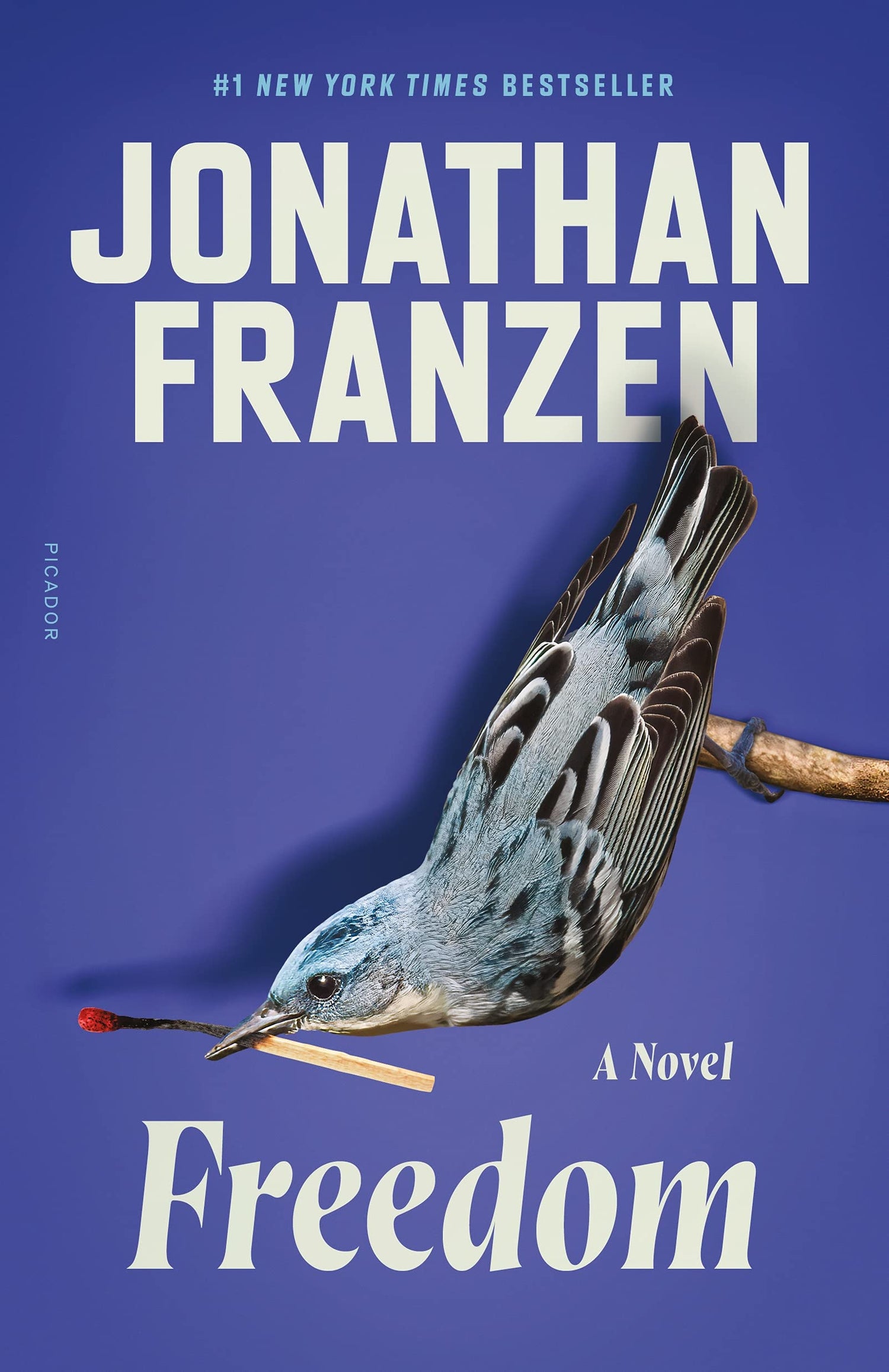 Freedom book cover