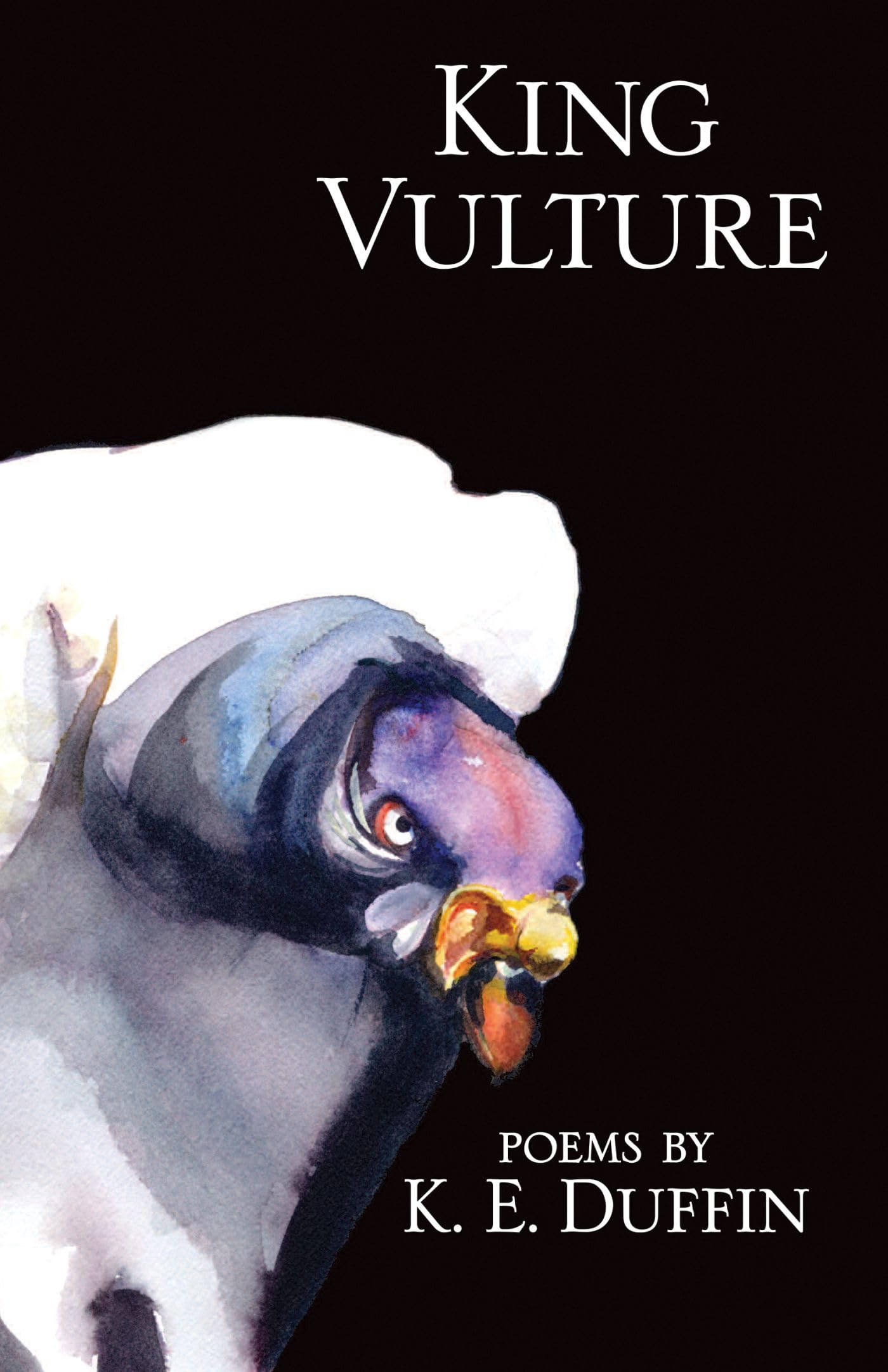 King Vulture: Poems book cover