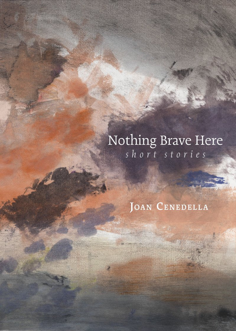 Nothing Brave Here book cover