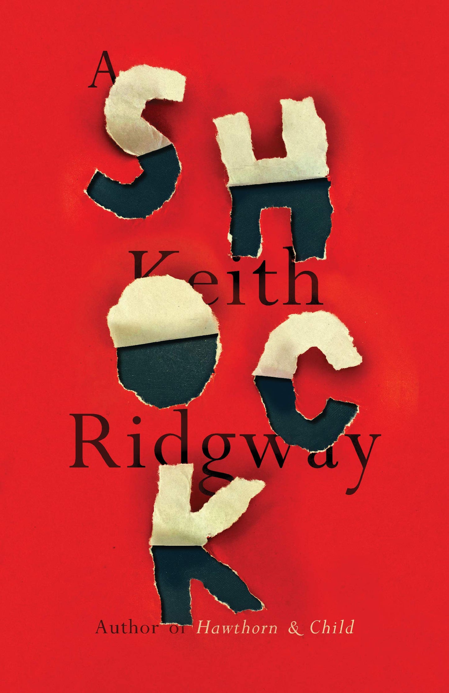 Shock book cover