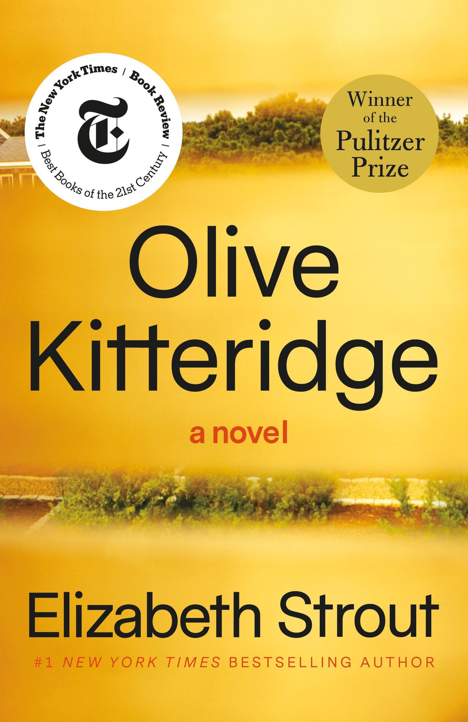 Olive Kitteridge book cover