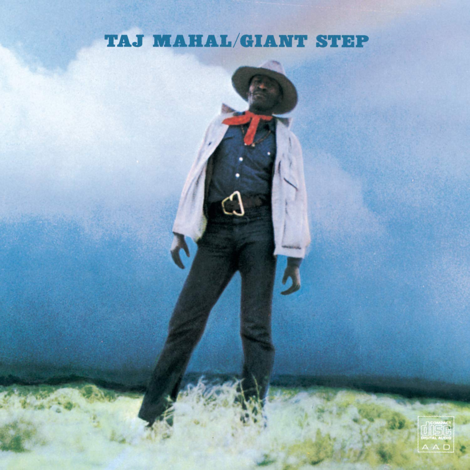 Giant Step book cover