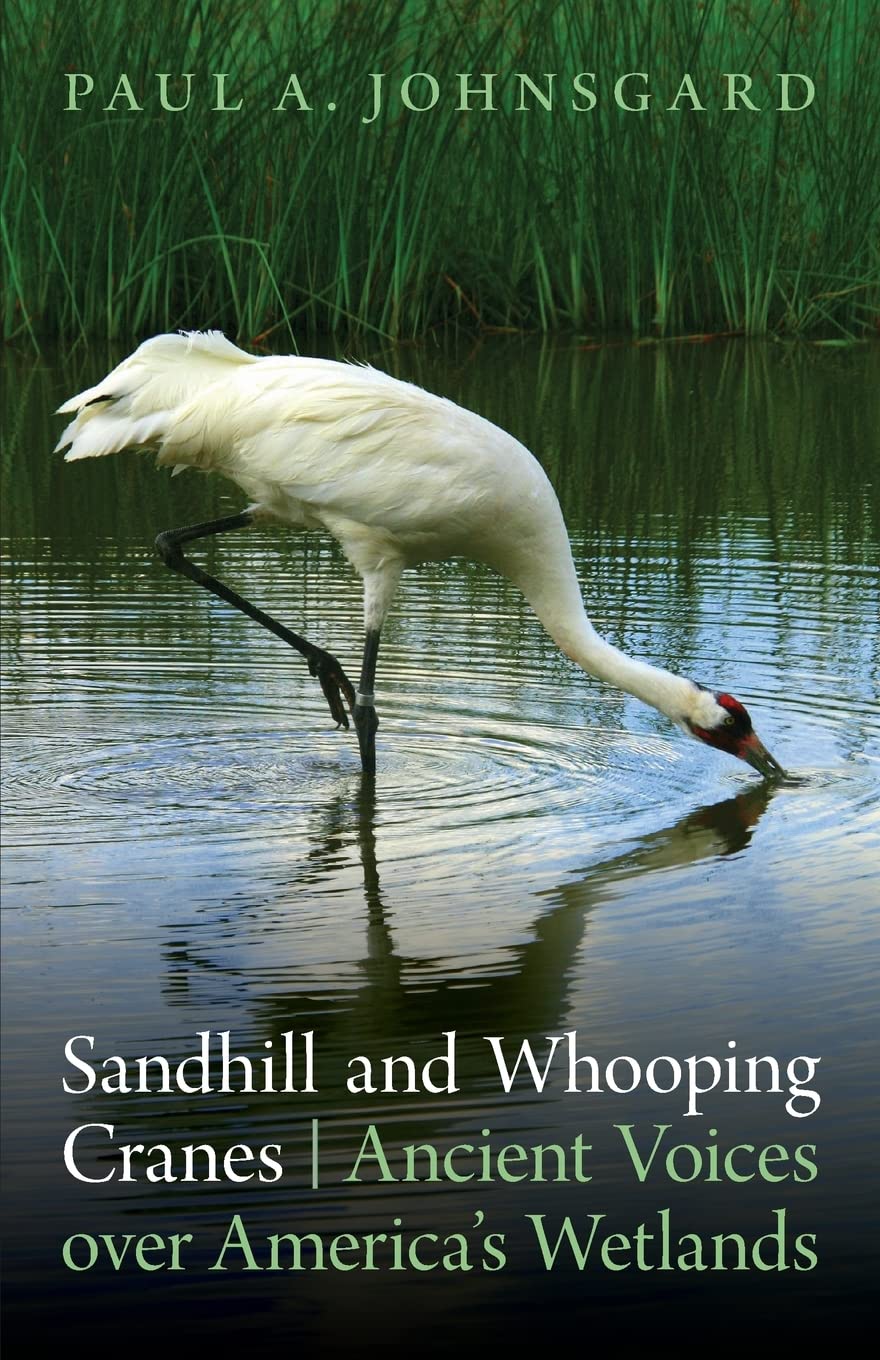 Sandhill and Whooping Cranes: Ancient Voices Over America's Wetlands book cover
