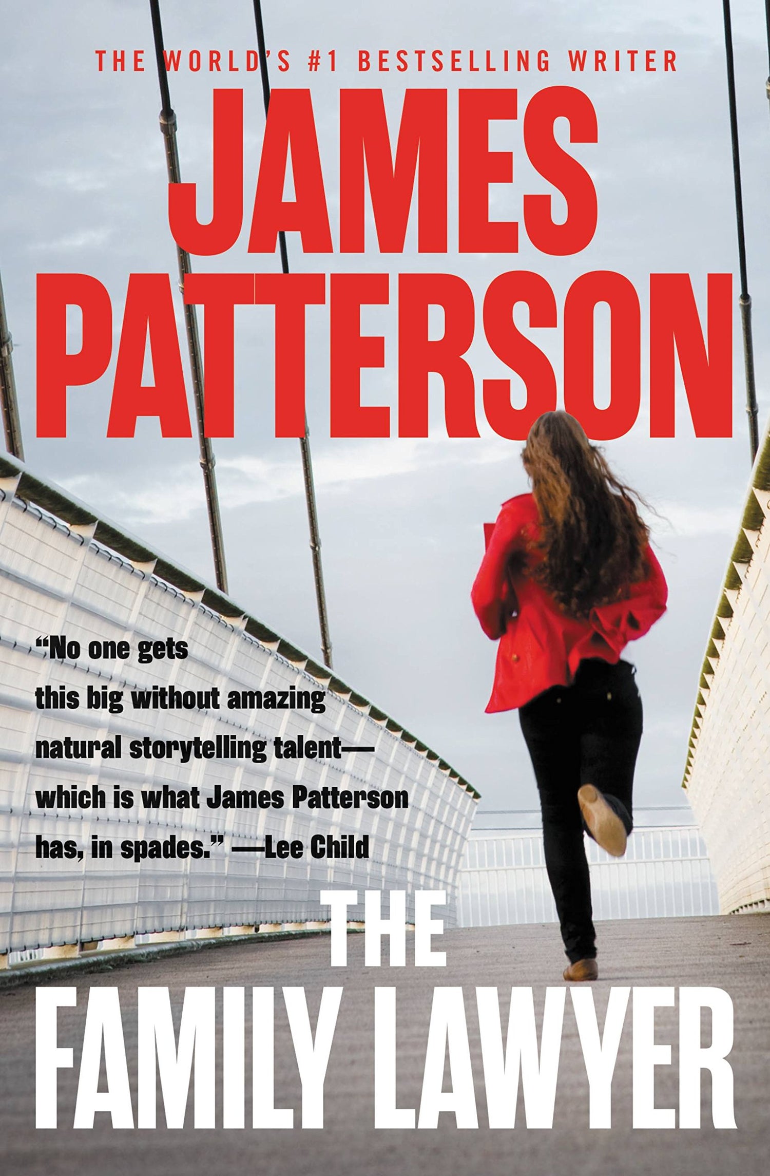 Family Lawyer book cover